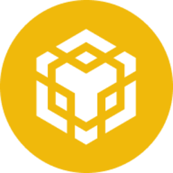 BNB 标志